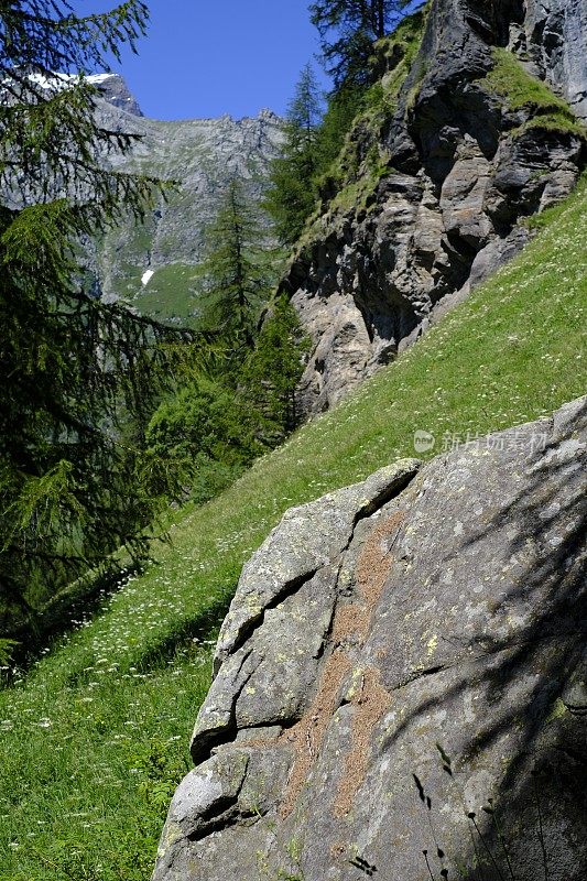 Alpe Devero - Piedmont - Italy报道